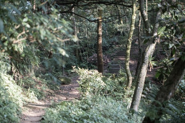 微笑山線 筆架連峰段段｜健行筆記尋寶任務2824786