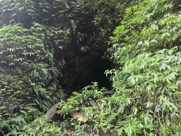 20260827圓柳古道-茄苳坑採金古道3114754