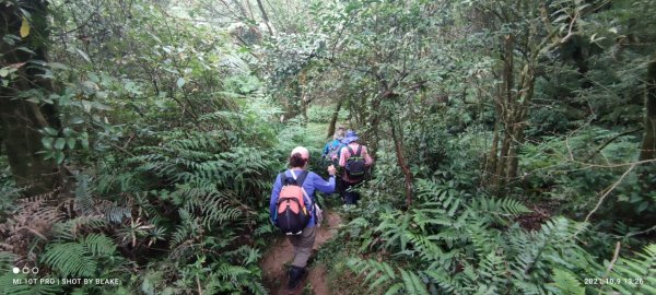 擎天崗→磺嘴山生態保護區→磺嘴山 H912m→翠翠谷→榮潤古道→內雙溪古道→冷擎步道→冷水坑1487621