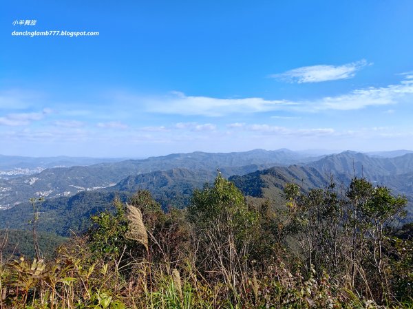 【新北】二格山步道：半小時登頂坐擁大台北2805193
