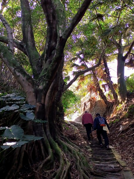 桃園大溪石門水庫楓林步道、齋明寺古道【南山神壽任務】1963925