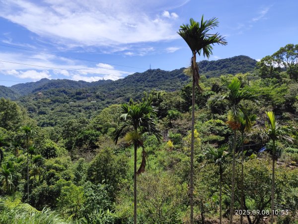 【臺北大縱走 7】2-1 樟山寺→樟樹步道→彩雲亭→相思炭窯→貓纜貓空站→指南路三段40巷2881770