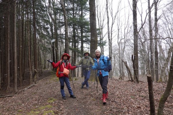 熊野古道小邊路.熊野三山2485441