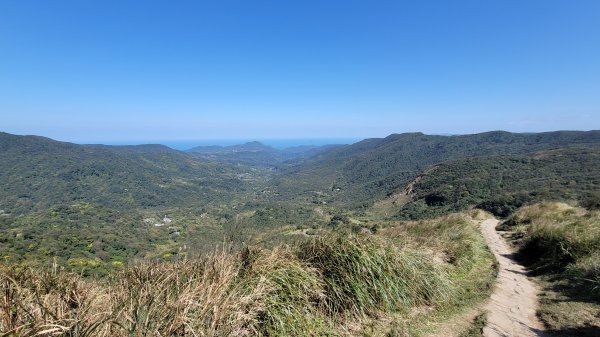 風櫃口頂山石梯嶺擎天崗2056597