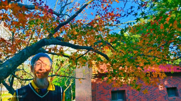 #花卉試驗中心 #永公路500巷 #平菁街42巷 #原住民公園 #士林官邸 1/42976636