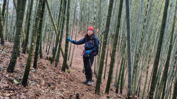 金牌縱走202502082709496