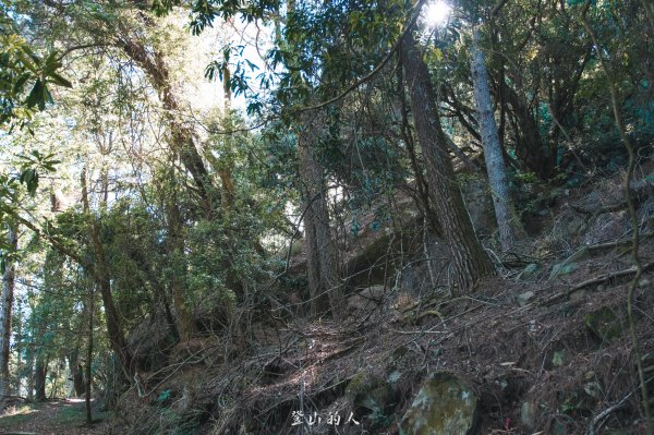 霞山鐵道野營2843074