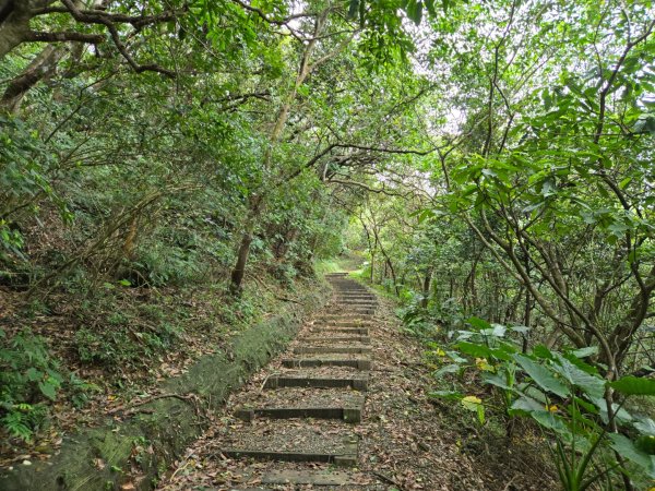 野柳里登山步道2620972