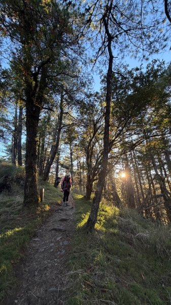 中央尖山 2025 11/7 三天兩夜2935750