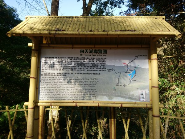 光天高山→向天湖山→三角湖山 O型縱走746171