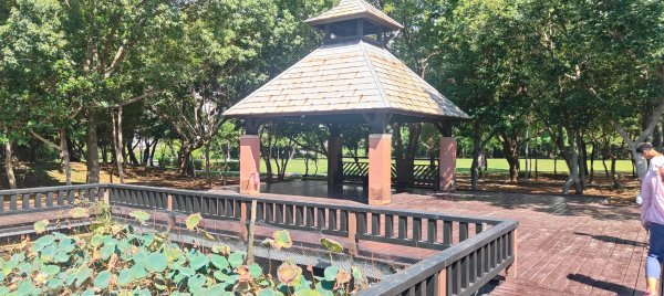 八德埤塘生態公園2890762