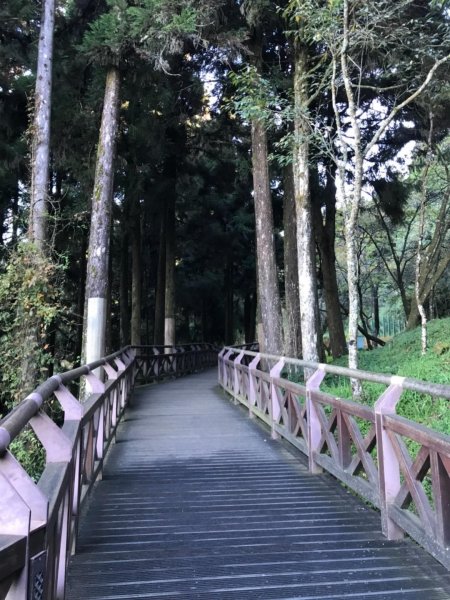 阿里山雙峰大塔山對高岳連走451405