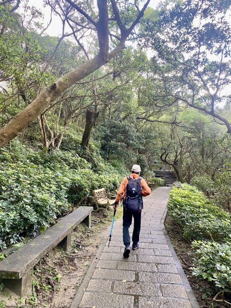 北部漫遊Ⅰ—忠勇山.白石湖吊橋.春秋步道.碧山露營場.大崙尾山.冷水坑溫泉  2023/01/051988407