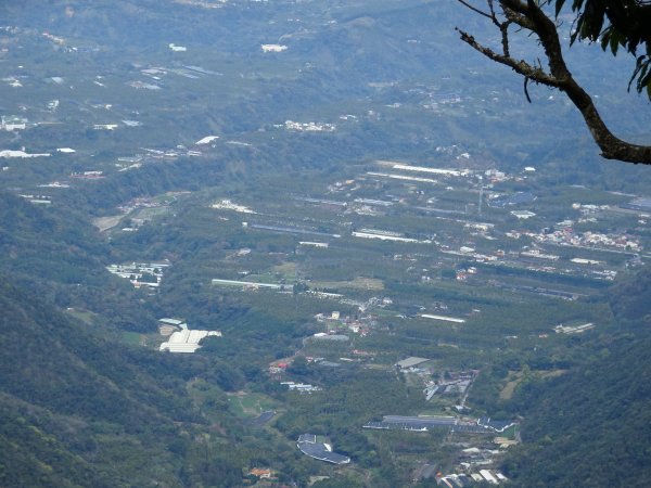 2022年02月13日(彰山協)南投日月潭四兄妹之中級山~大尖山縱走水社大山1613369