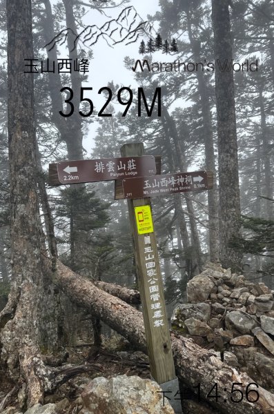 東埔-排雲-玉山西峰-玉山主峰2753146