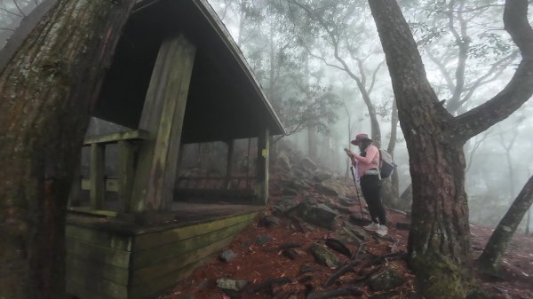 台中 鳶嘴稍來山O繞+稍來神木2989467