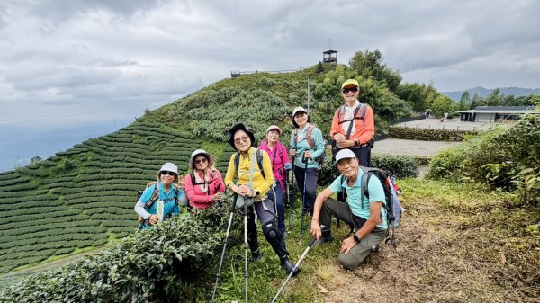 大崙山茶區山頭/民眾坪山 貓冬望山 大崙頭山 樟空倫山3101054