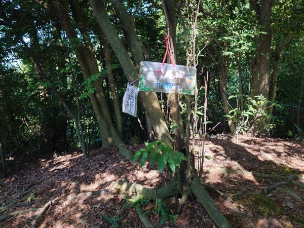 微笑山線之鳶山任務2855531