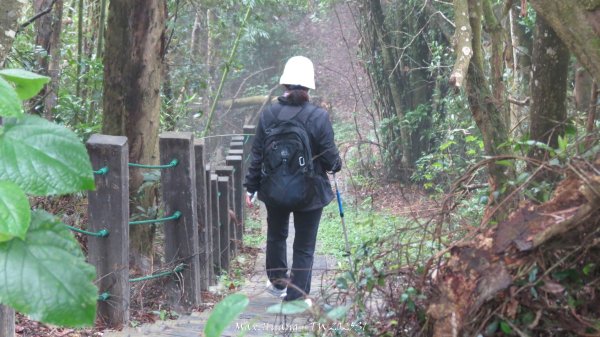 《苗栗》台鐵舊山線｜三義勝興鐵道覓境及挑柴古道O繞202501192693597