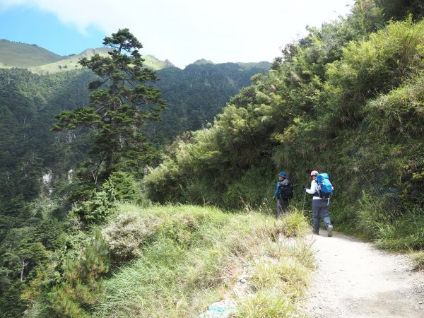 奇萊南華高峰之旅兩天一夜⛰️最受歡迎的新手百岳🏘️1833346