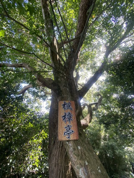 2025微笑山線大縱走尋寶集章任務-Ep.03【鳶山山系】鳶山彩壁段2893662