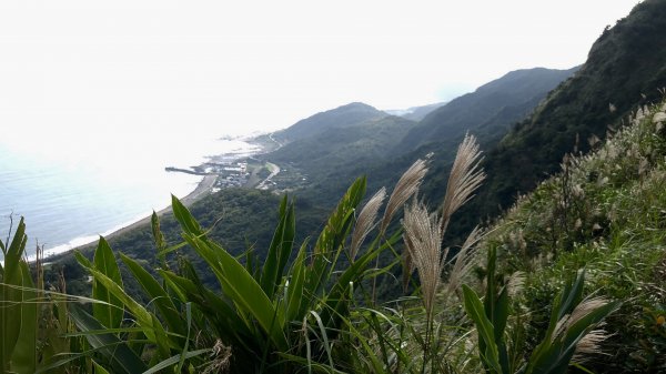 09.草嶺古道依舊466725