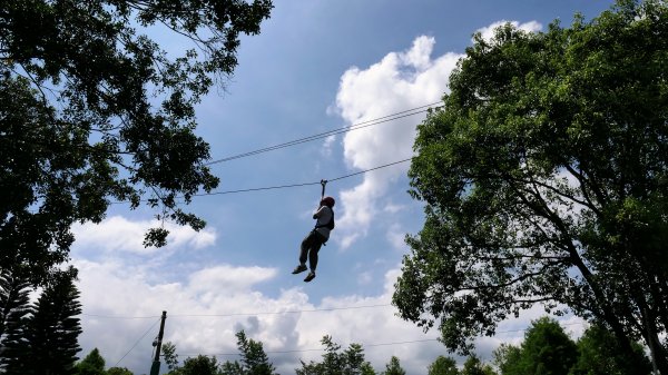 天送埤,拳頭姆步道2542520