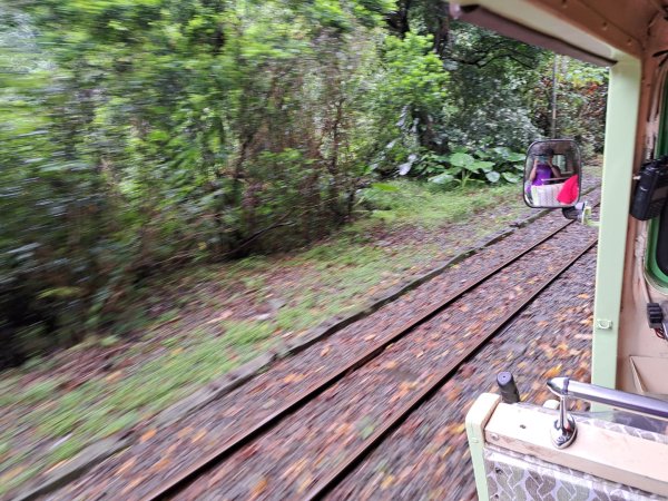 新北內洞國家森林遊樂區步道3106126