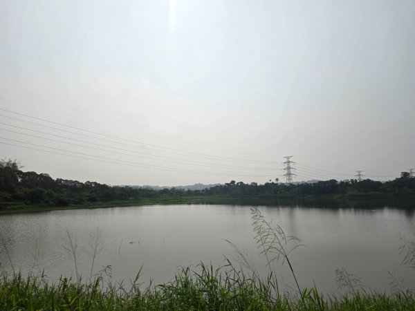 觀音湖3038276