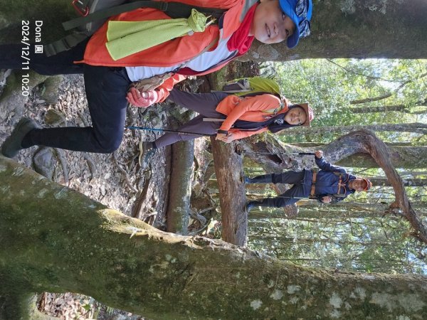 【谷關七雄】屋我尾山(H1796m)＆屋我尾山北峰(H1784m)熱身行2670233