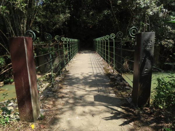 澀水森林步道(+水上瀑布)2915731