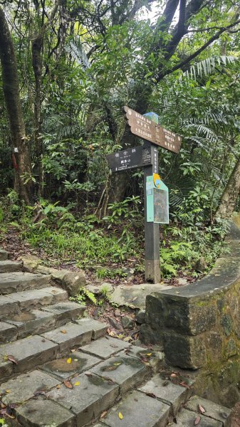 2025-0512內湖到中社2784814