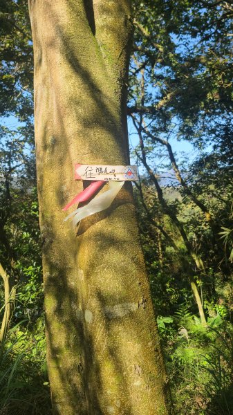 2025-0130溪和宮-大崎頭步道-鵝尾山-平溪步道-鵝尾山水田-42巷-溪山百年古圳-平菁步道2701858