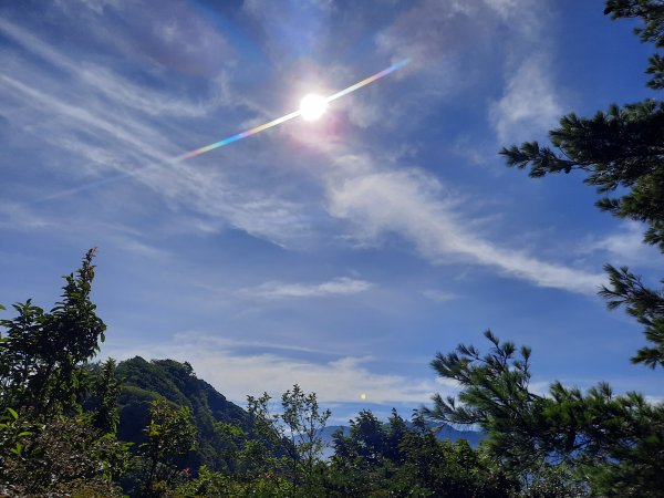 加里山 杜鵑嶺 鐵道 大O型 大坪上