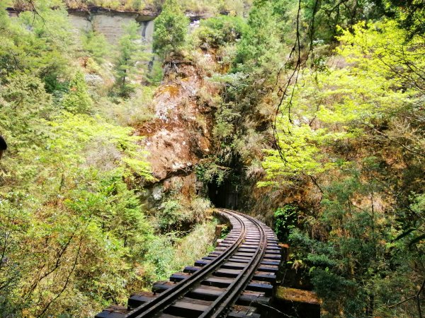 走一段震撼的森林秘境~失落的眠月線鐵道