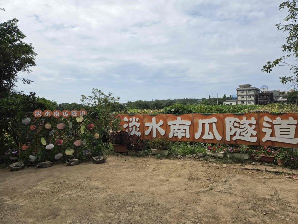 20260522淡水南瓜隧道-下奎柔百合花園-錦繡莊文化園區3062850