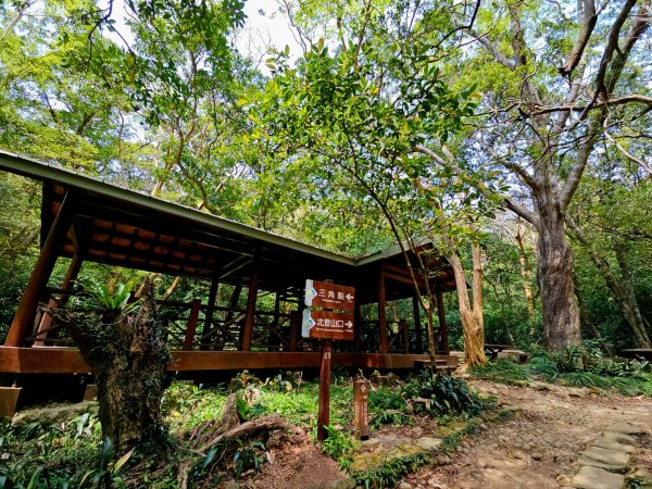 里龍山-小百岳#69-屏東縣獅子鄉2750534