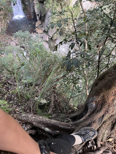 蝶夢八唐搜尋失蹤者 2025.11.252954302