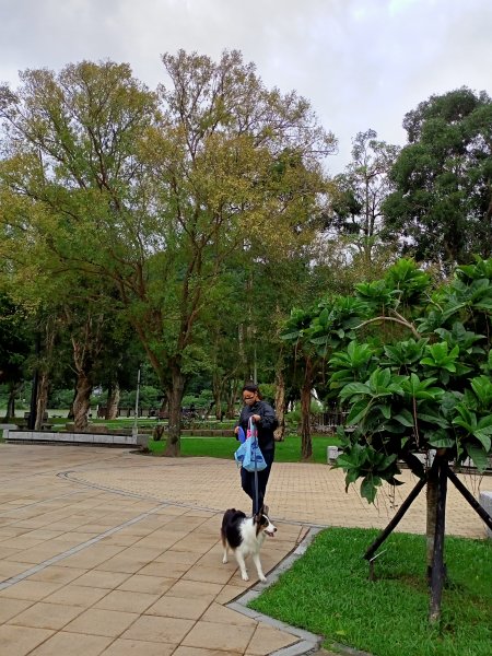 大港墘公園、大湖公園 (防災公園) - “非常愛尋寶”【走路趣尋寶，全臺齊步走】1883876