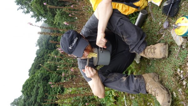 雙龍林道上巒安堂西巒大山1778776