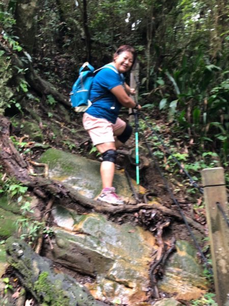 嘉南雲峰、石壁山有著讓人嚇到哭的螞蝗現身596799