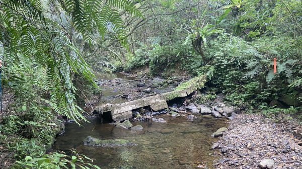 泰平國小的辭職嶺|Taiping|崩山坑古道|虎豹潭|峯花雪月2605861