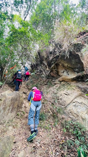 🌈1/18(六)小百岳雙收~大橫屏山+九份二山順遊賞梅🌈FB：熊熊趴爬走 歡迎加入2692540