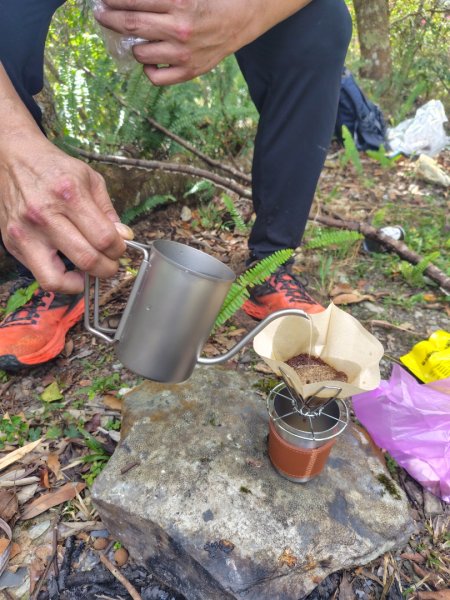 多納六秀 京大山2957608