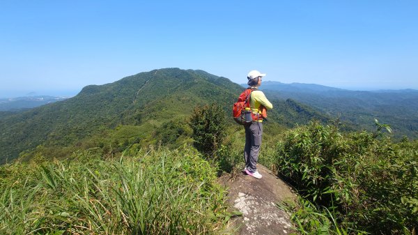 春天鮮綠的呢喃基隆荖寮坑古道上望古山登五分山O型2747323