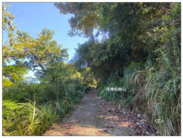 南松鶴山～八仙山 (台中 和平)2926071