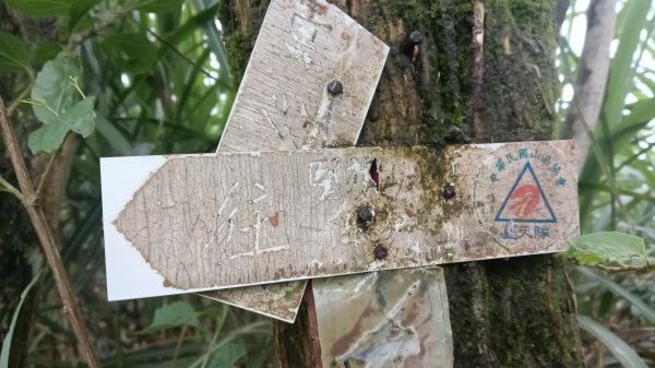 雙溪區豎旗山北稜線-豎旗山-豎旗山南峰-烏山尖-鄒家古厝-保成坑口站O型3071234