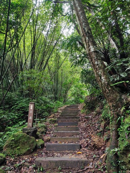 土庫岳-小百岳#14-新北市深坑區2247861