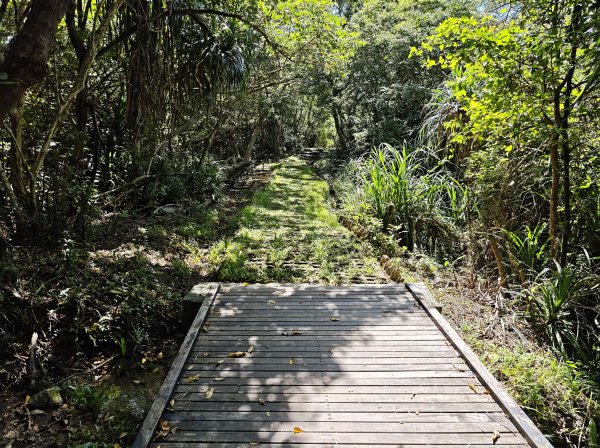 [百山百鳥尋旅-02/15] 2025_0809 社頂自然公園步道2857104