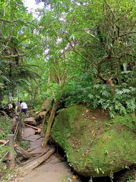 【新北-臺灣百大必訪步道】流水淙淙的三貂嶺瀑布群步道1455432